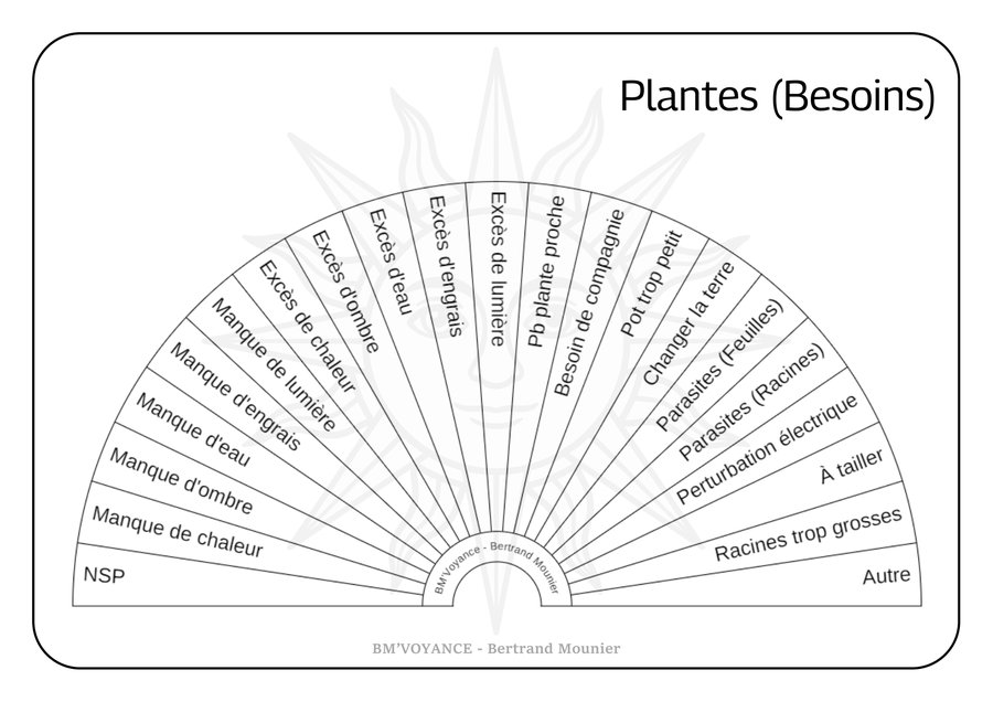 Plantes (Besoins)