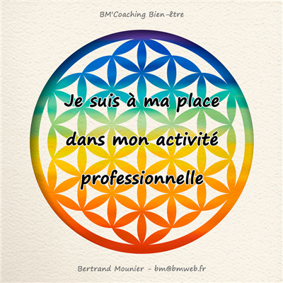 Je suis à ma place dans mon activité professionnelle