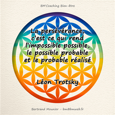 La persévérance, c'est ce qui rend l'impossible possible, le possible probable et le probable réalisé — Léon Trotsky