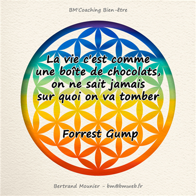 La vie c'est comme une boîte de chocolats, on ne sait jamais sur quoi on va tomber — Forrest Gump