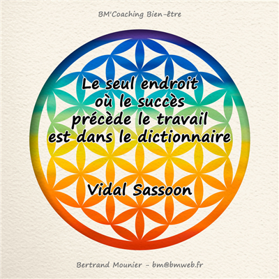 Le seul endroit où le succès précède le travail est dans le dictionnaire — Vidal Sassoon