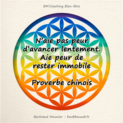 N'aie pas peur d'avancer lentement. Aie peur de rester immobile — Proverbe chinois