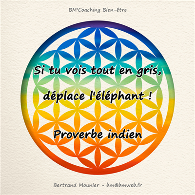 Si tu vois tout en gris, déplace l'éléphant ! — Proverbe indien